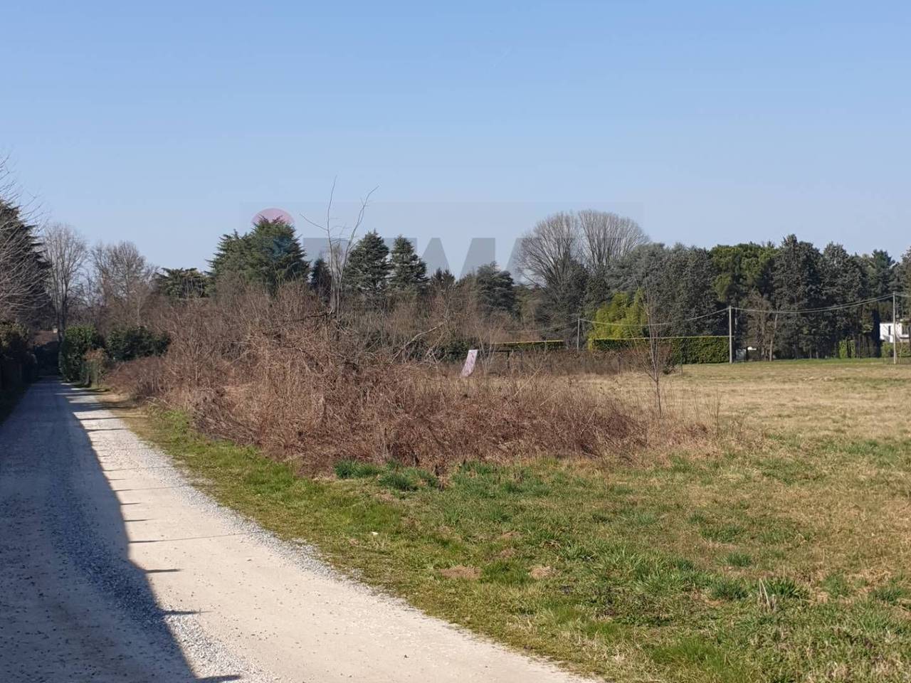 immagine annuncio 4 di 11