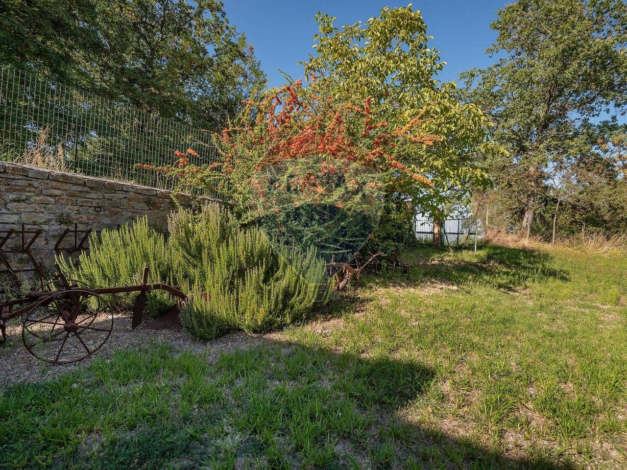 immagine annuncio 10 di 14