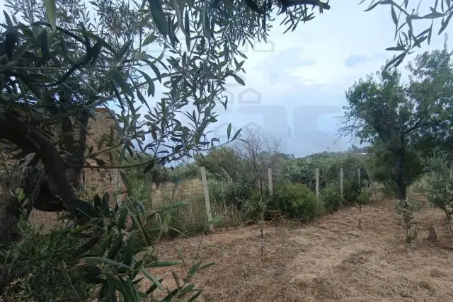 insertion image