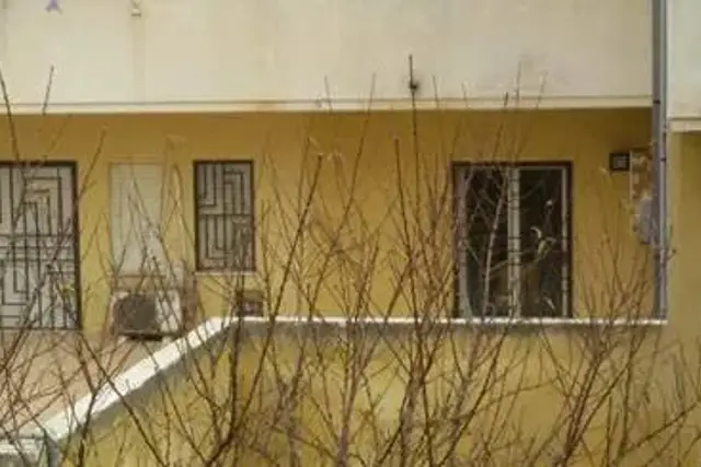 insertion image