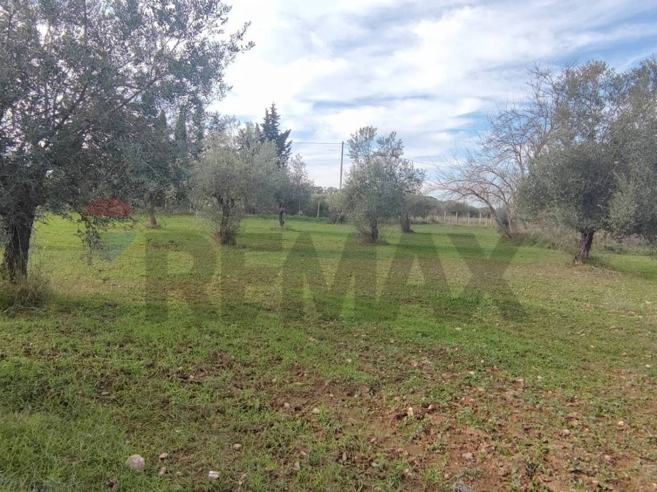 immagine annuncio 10 di 13