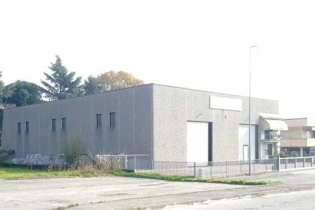 insertion image