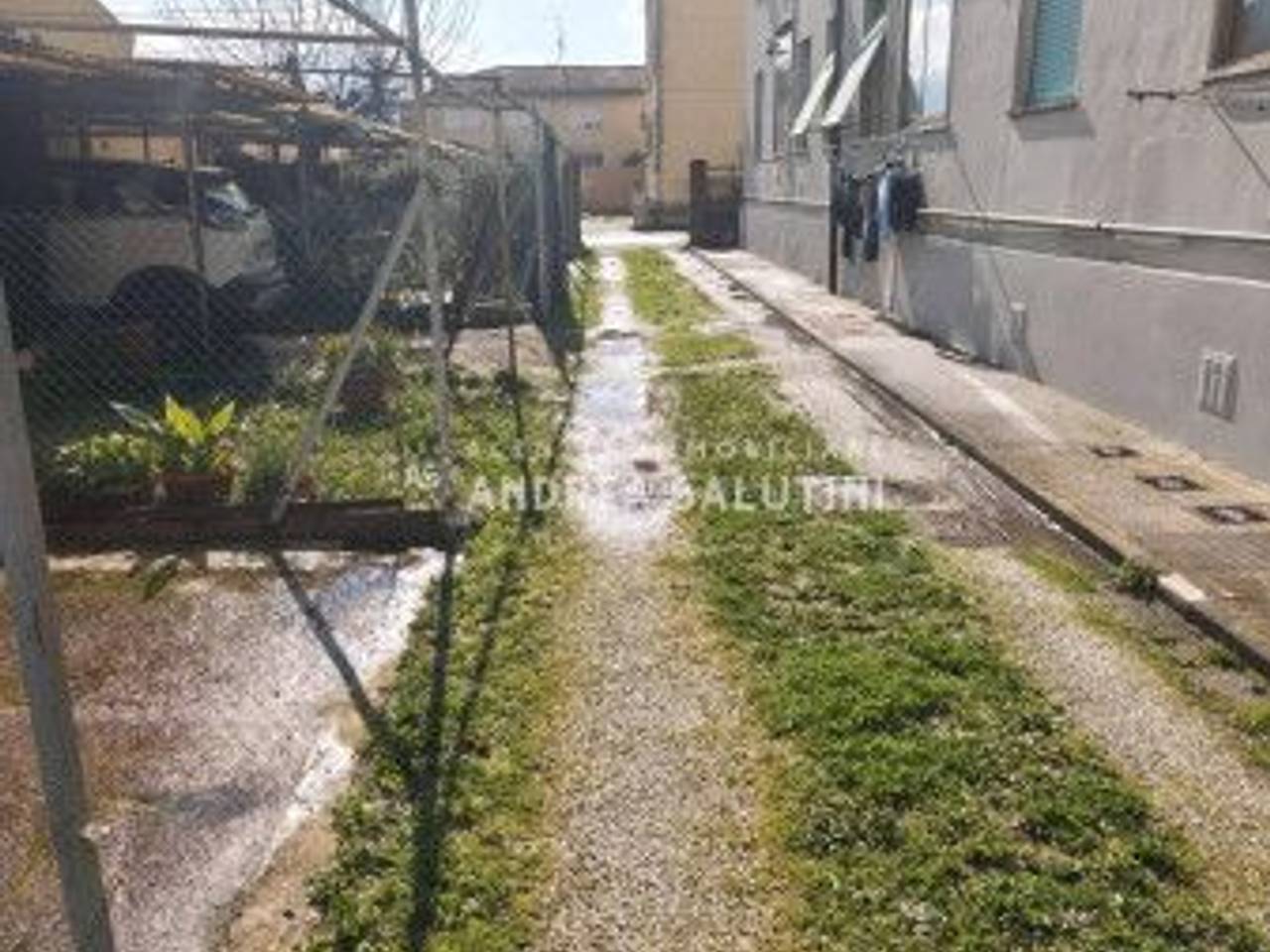 immagine annuncio 9 di 14