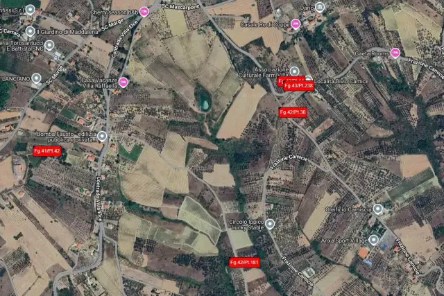 insertion image