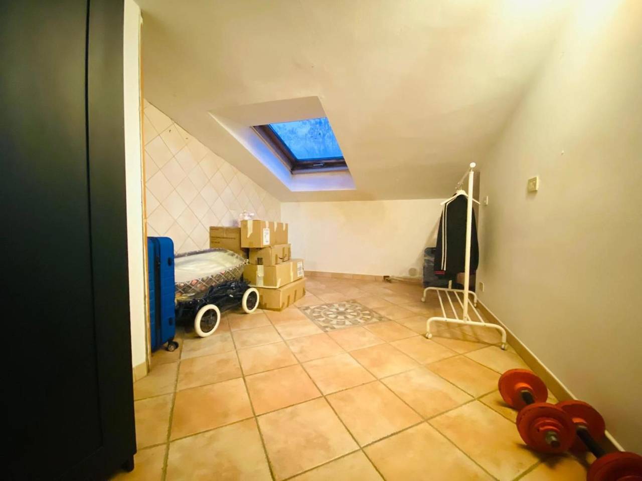 immagine annuncio 12 di 14