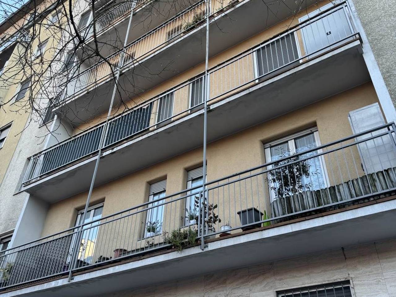 immagine annuncio 7 di 8