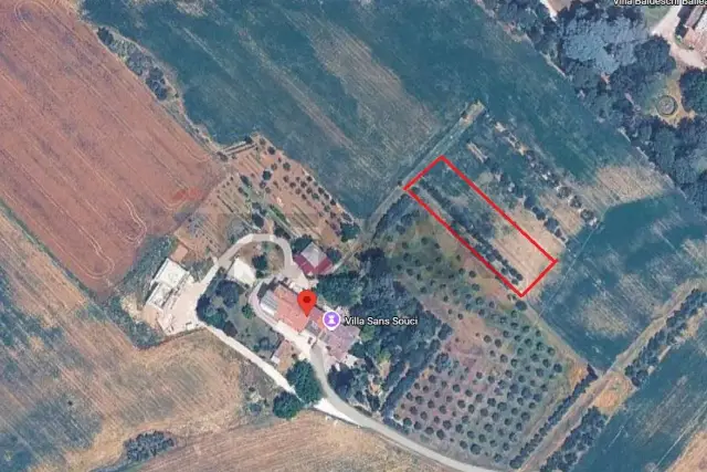 insertion image