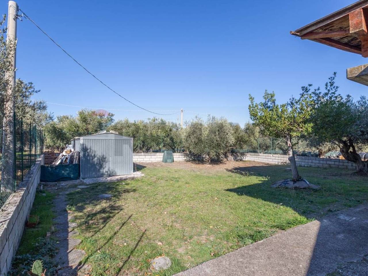 immagine annuncio 6 di 13