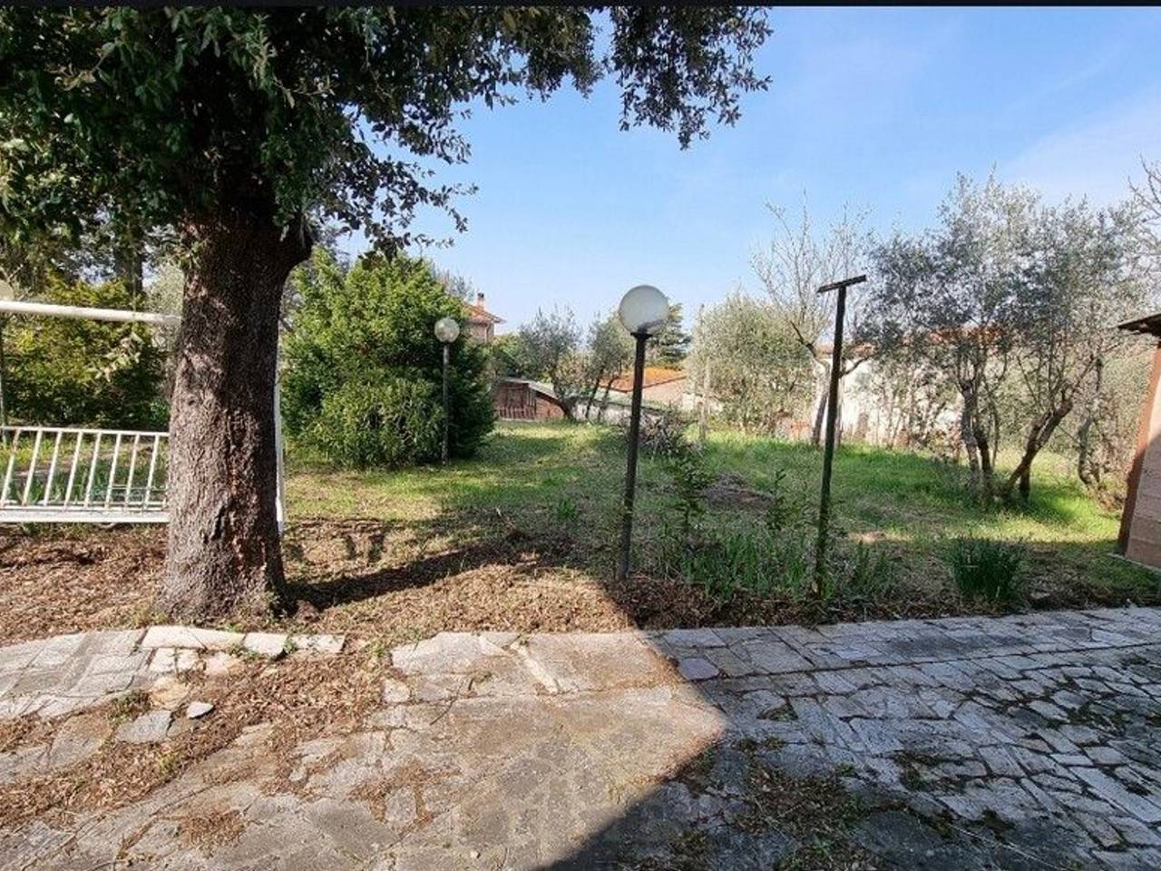 immagine annuncio 11 di 14