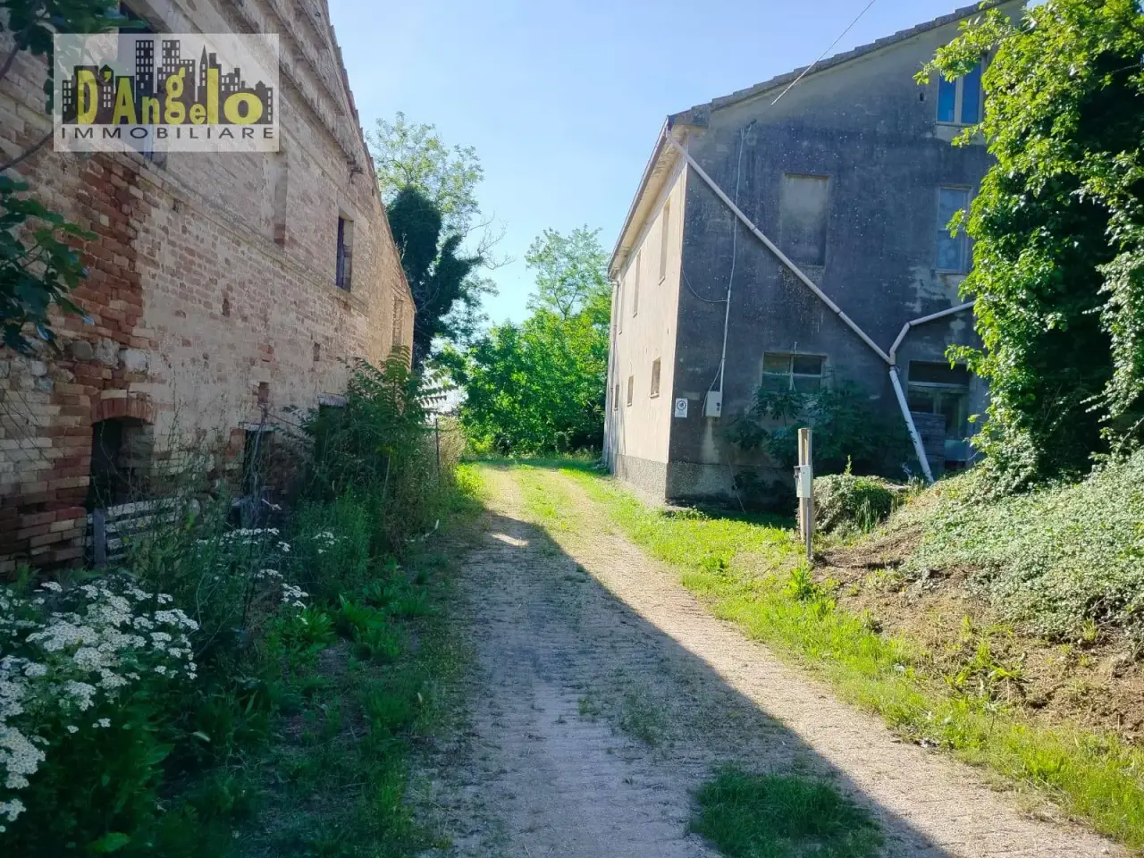 Azienda agricola in Strada Provinciale 73, Castignano, {3} - Foto 2
