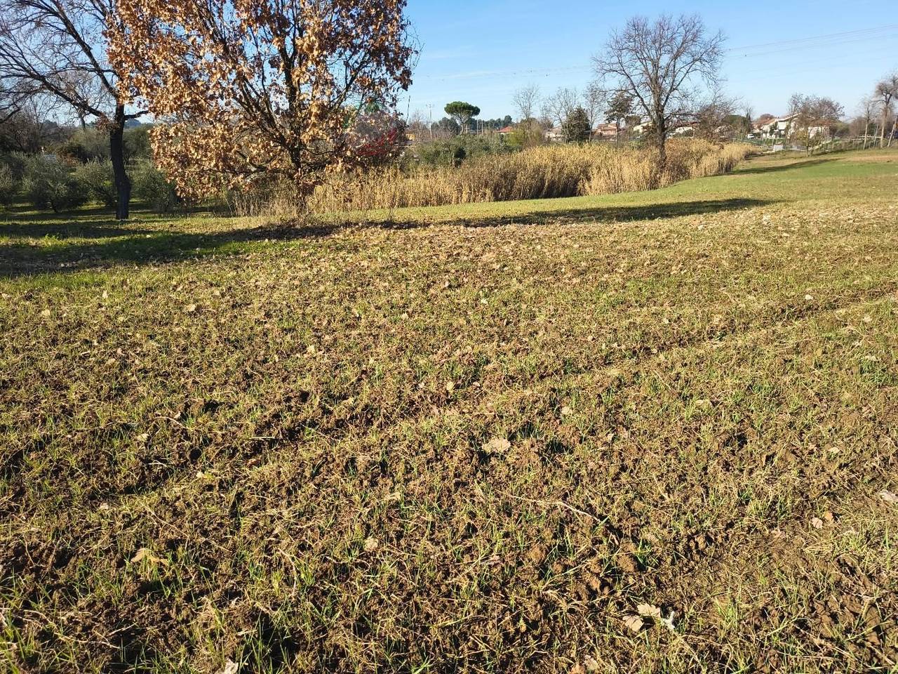 immagine annuncio 11 di 14