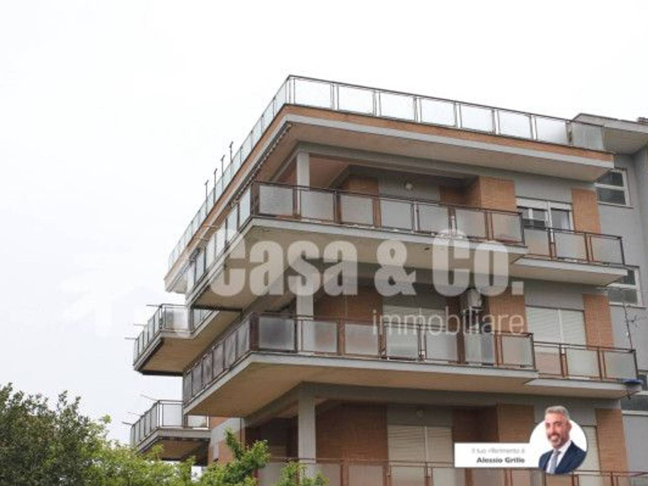 immagine annuncio 3 di 15