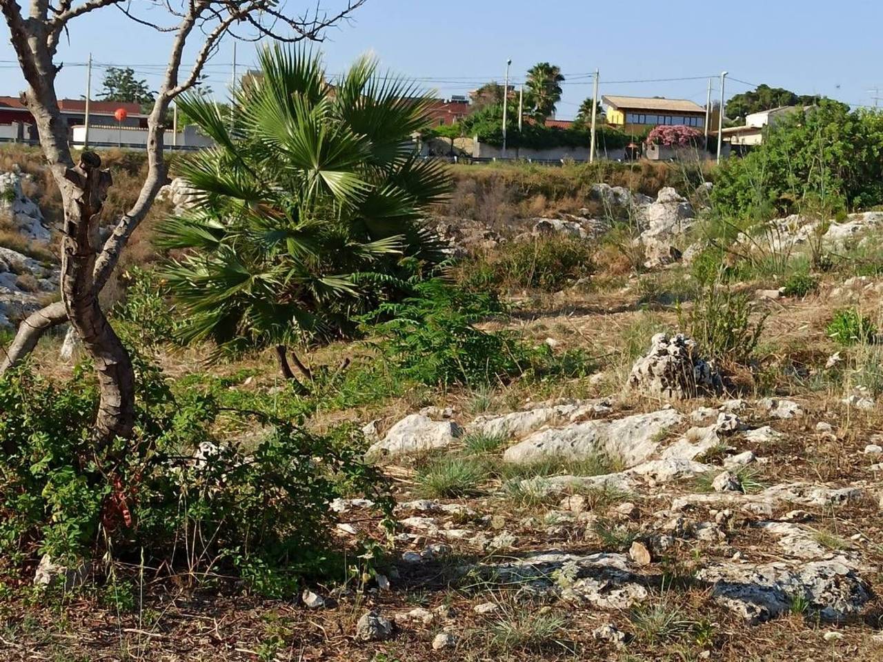 immagine annuncio 2 di 9