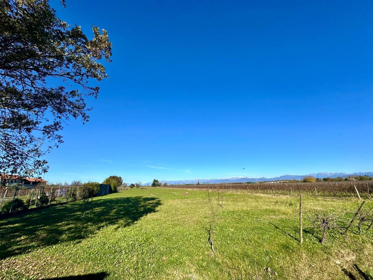 immagine annuncio 8 di 14