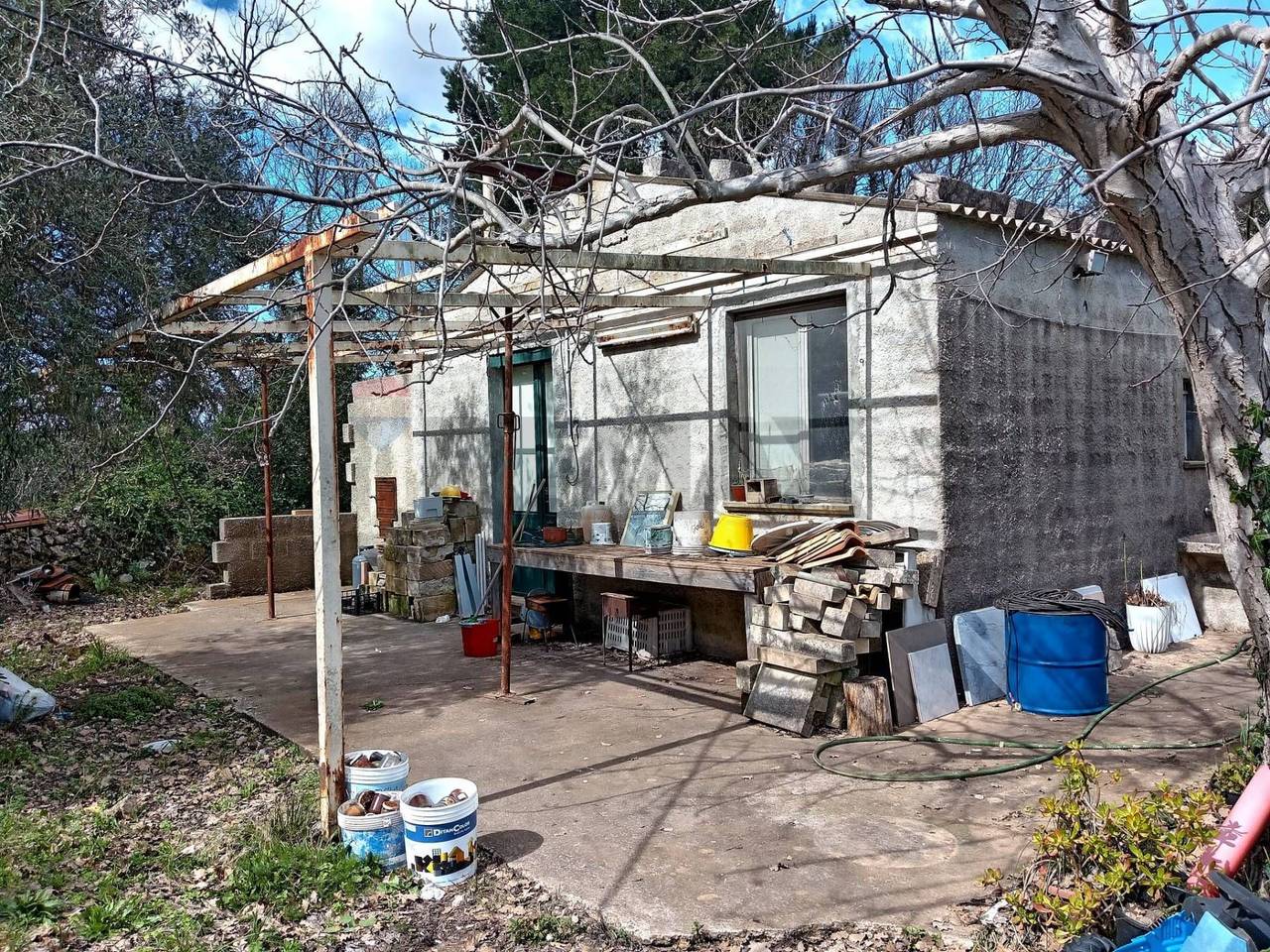 immagine annuncio 10 di 13