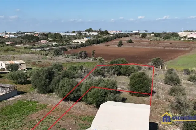 insertion image