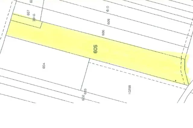 main planimetry real estate image