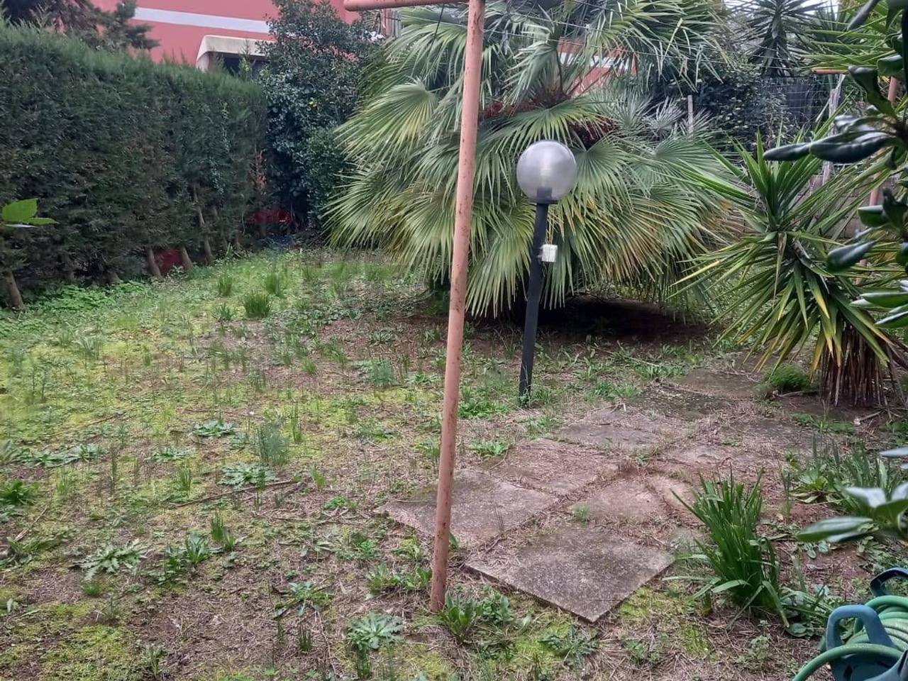 immagine annuncio 3 di 6