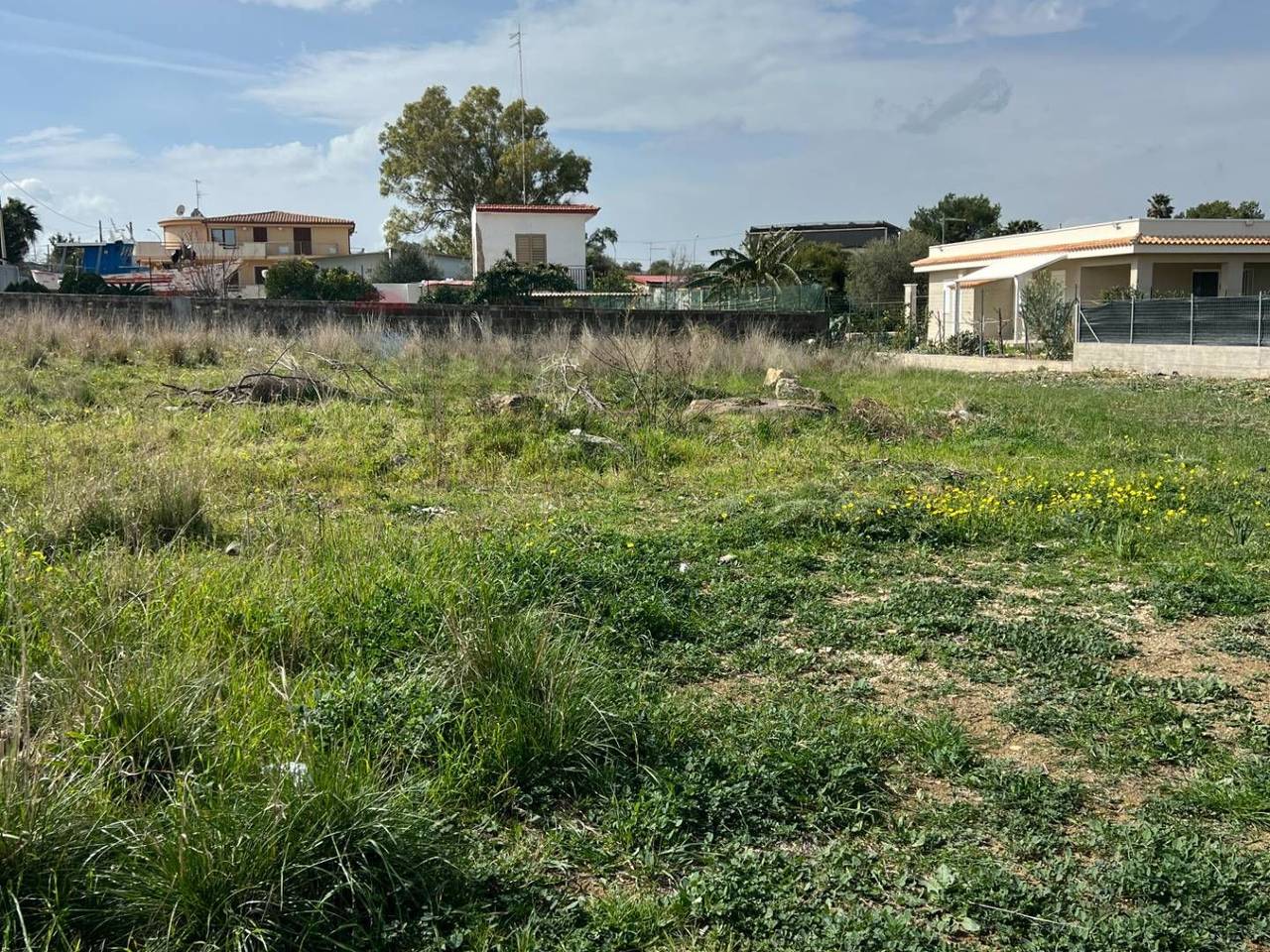 immagine annuncio 6 di 7