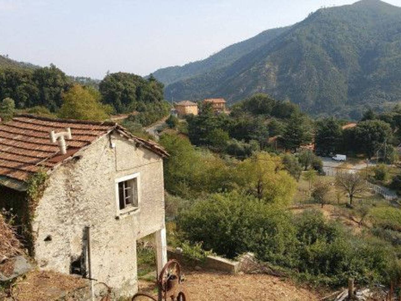 immagine annuncio 1 di 14