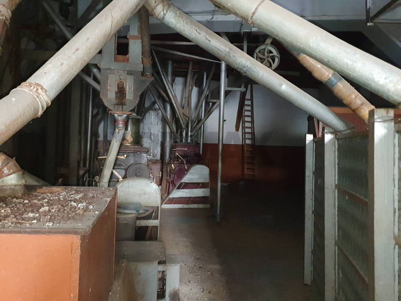 immagine annuncio 4 di 6