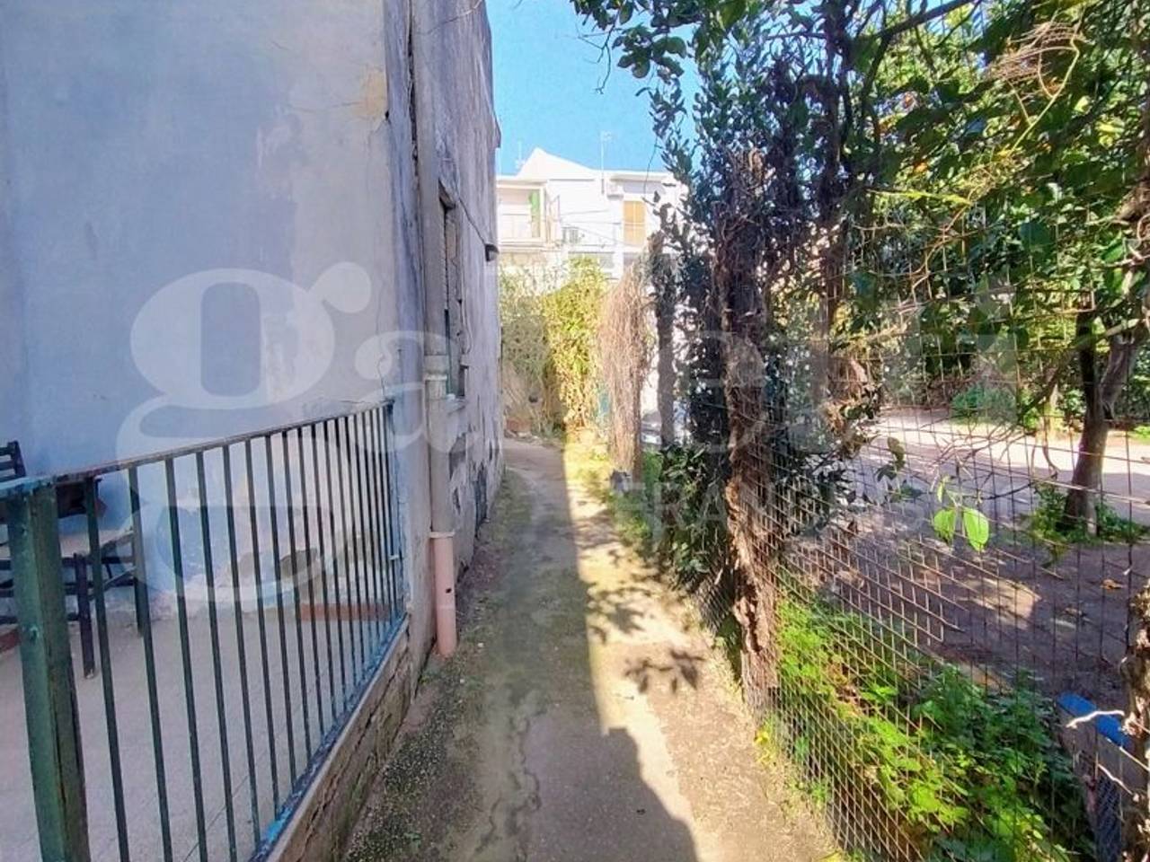 immagine annuncio 3 di 14