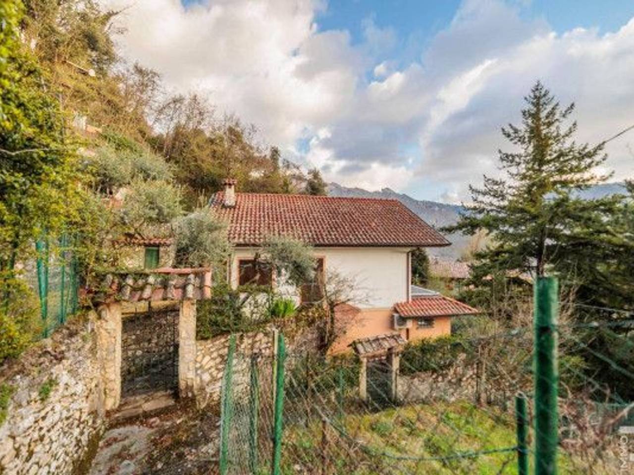 immagine annuncio 5 di 15