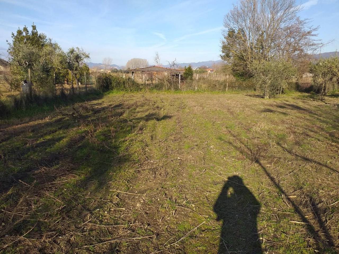 immagine annuncio 1 di 4