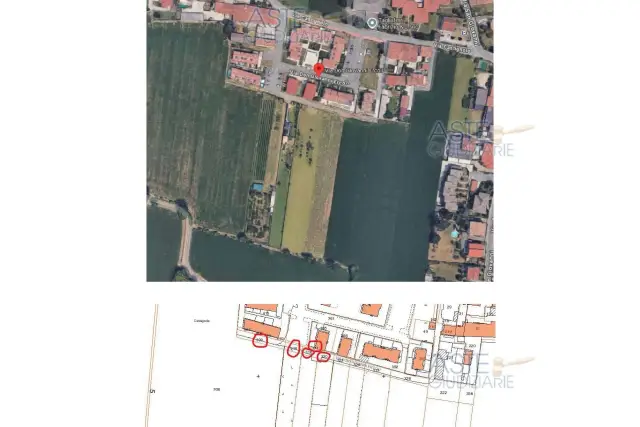 insertion image