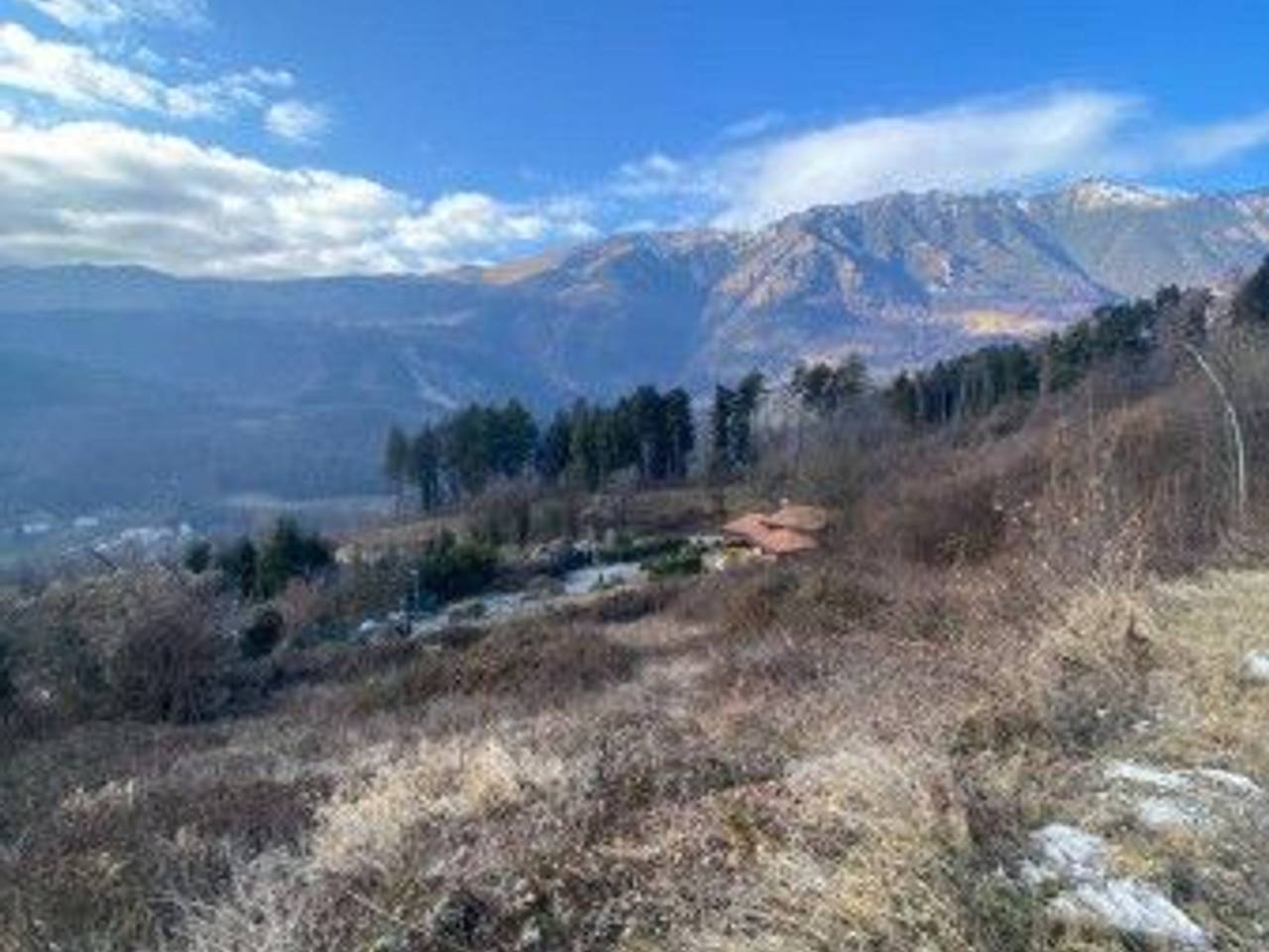 immagine annuncio 1 di 8