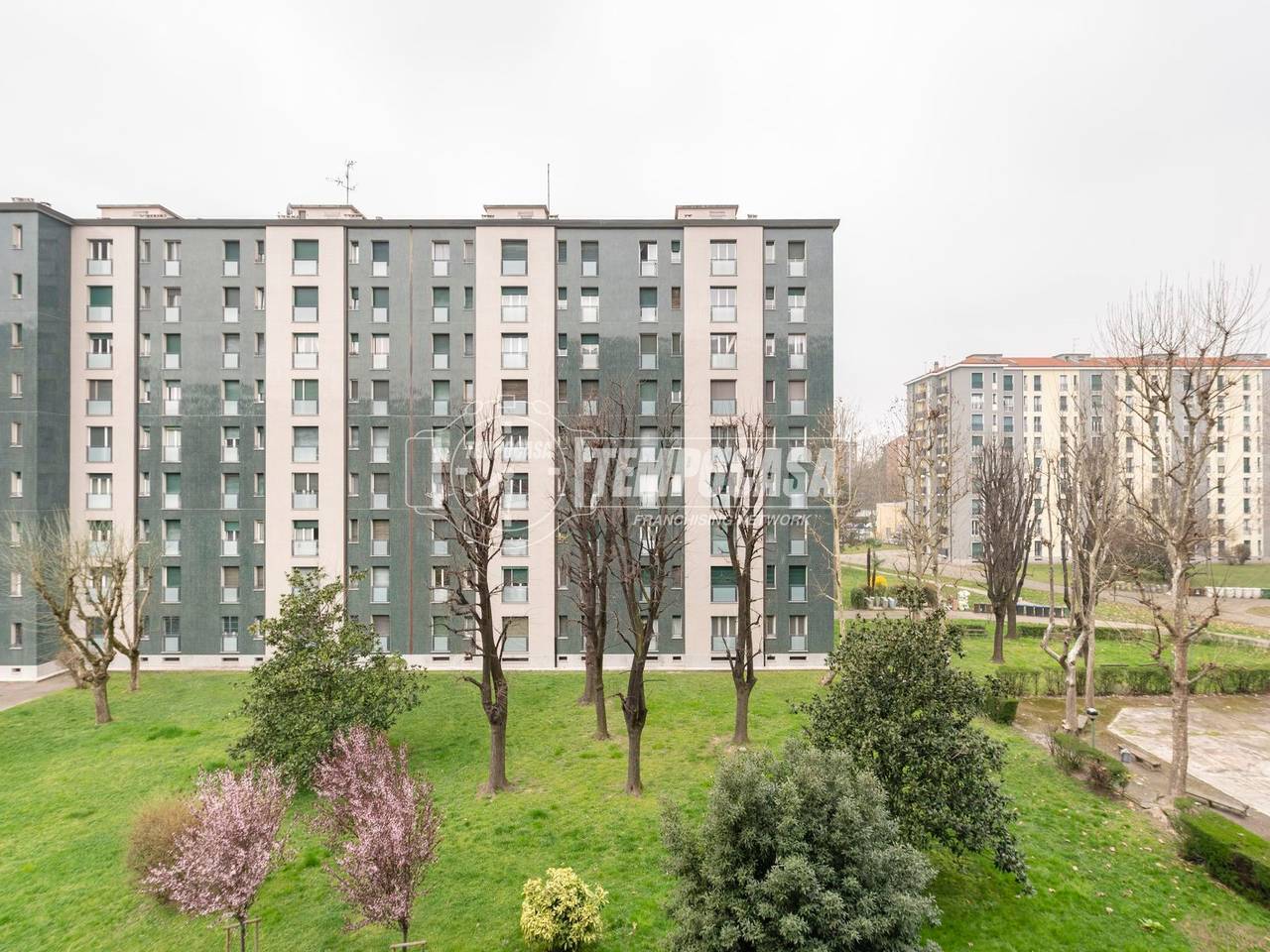 immagine annuncio 1 di 12