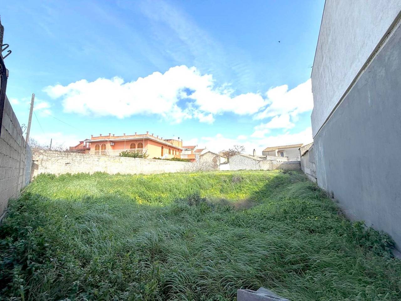 immagine annuncio 3 di 4