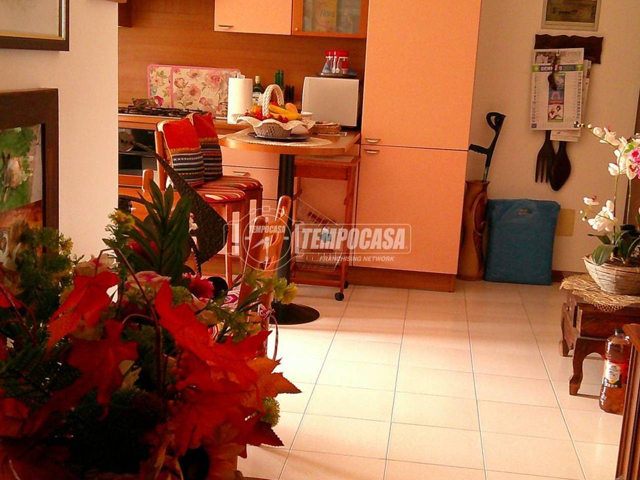 immagine annuncio 4 di 14