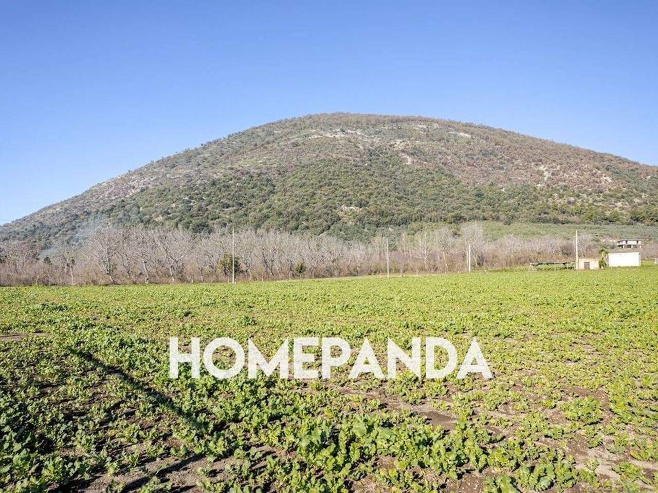 immagine annuncio 3 di 7