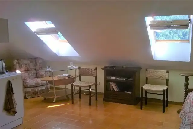 insertion image