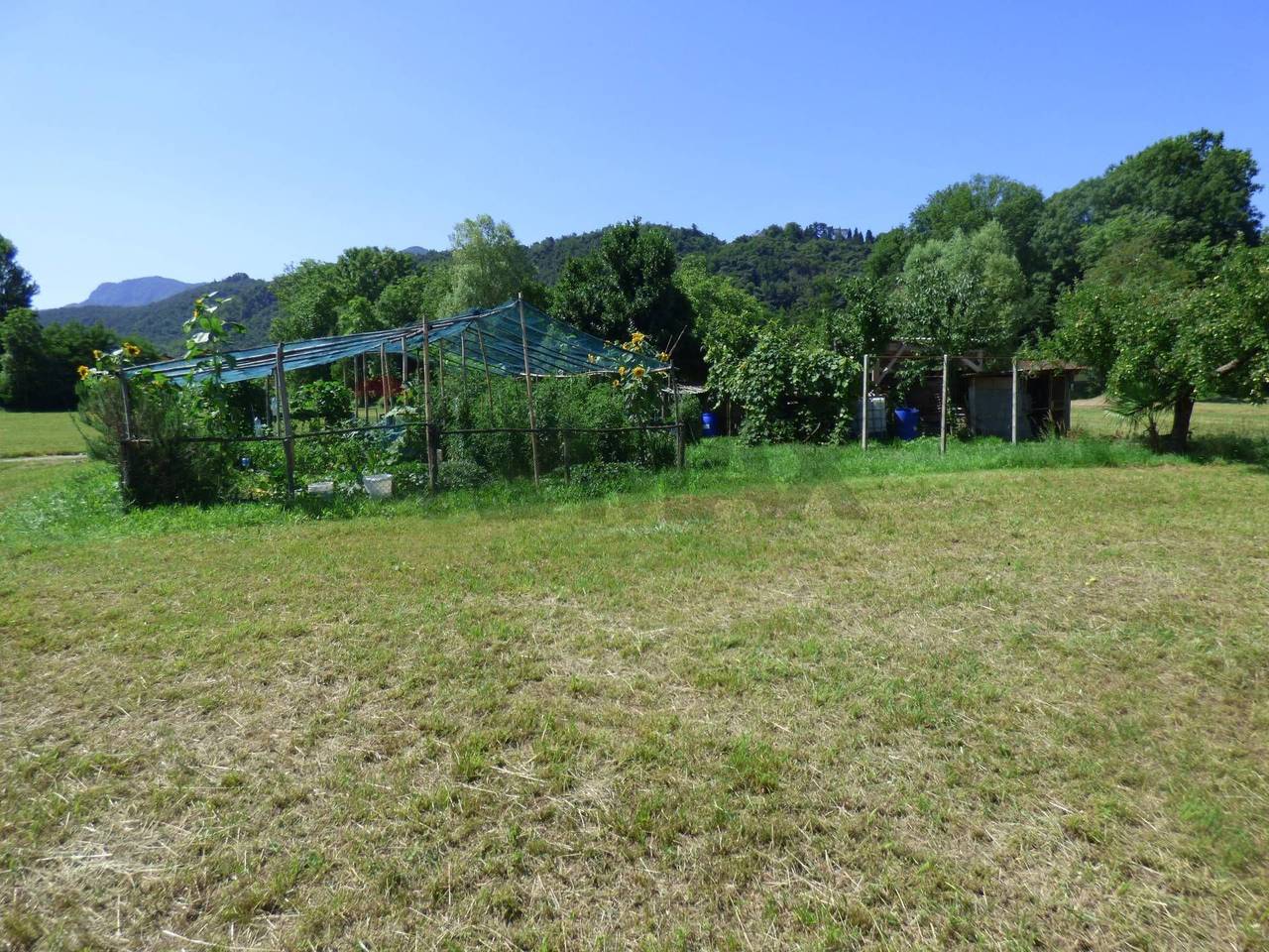 immagine annuncio 11 di 12