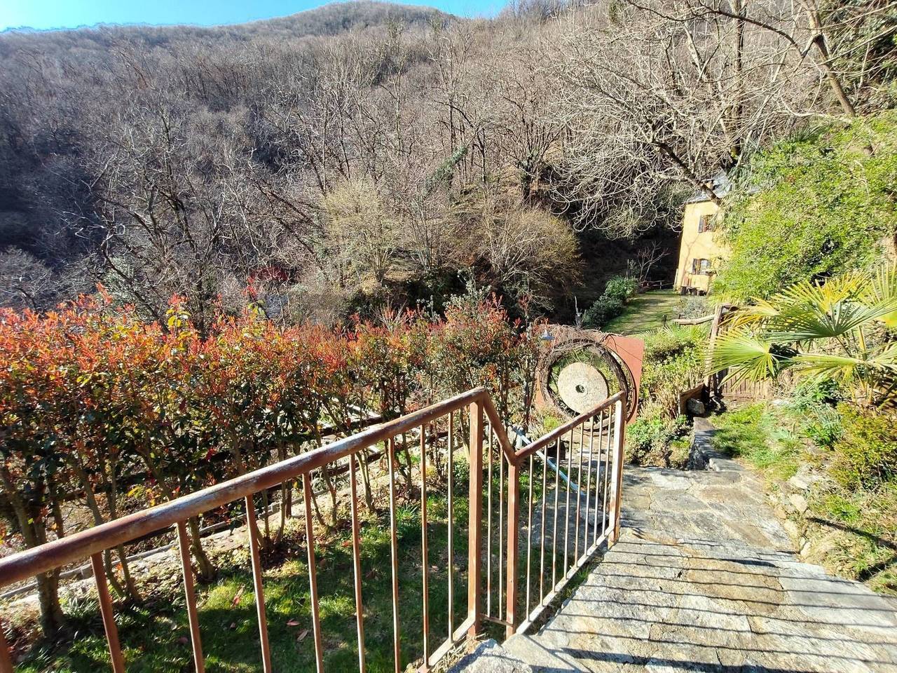 immagine annuncio 11 di 15