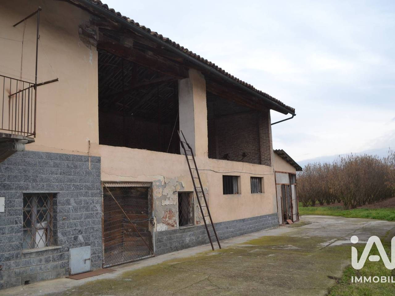 immagine annuncio 1 di 15