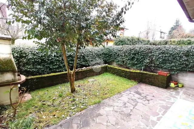 insertion image