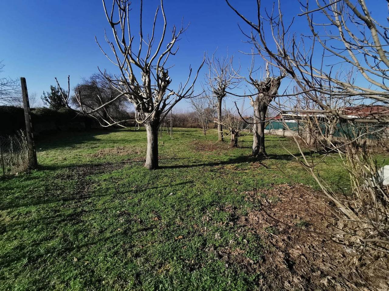 immagine annuncio 11 di 12