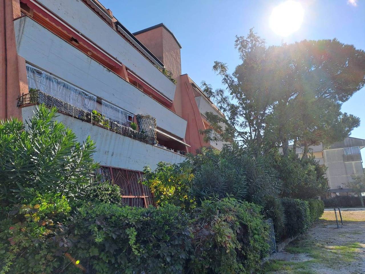 immagine annuncio 13 di 15