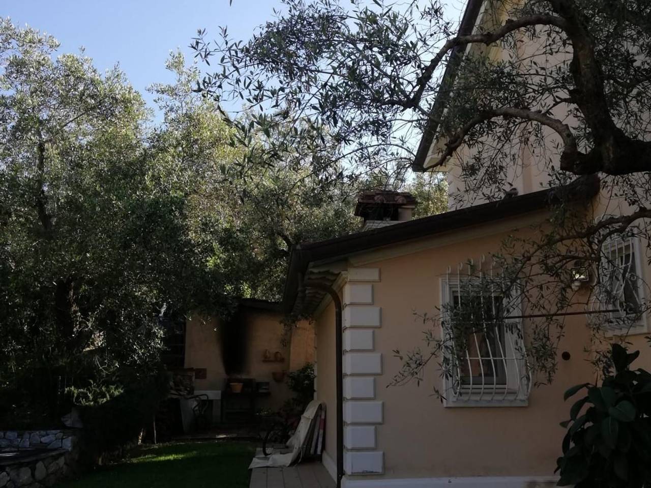 immagine annuncio 10 di 15
