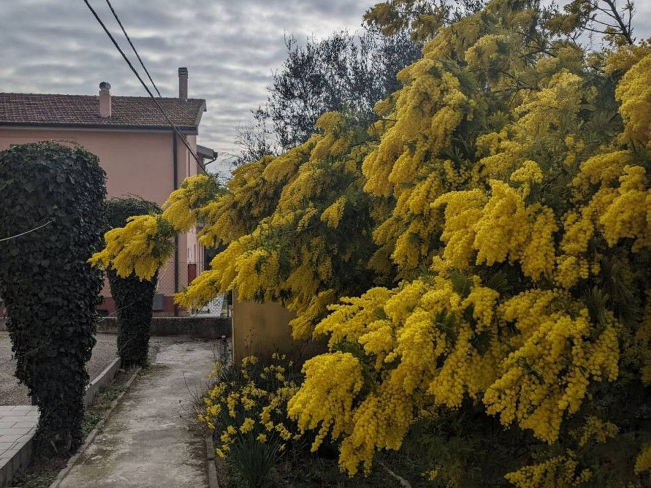 immagine annuncio 14 di 15