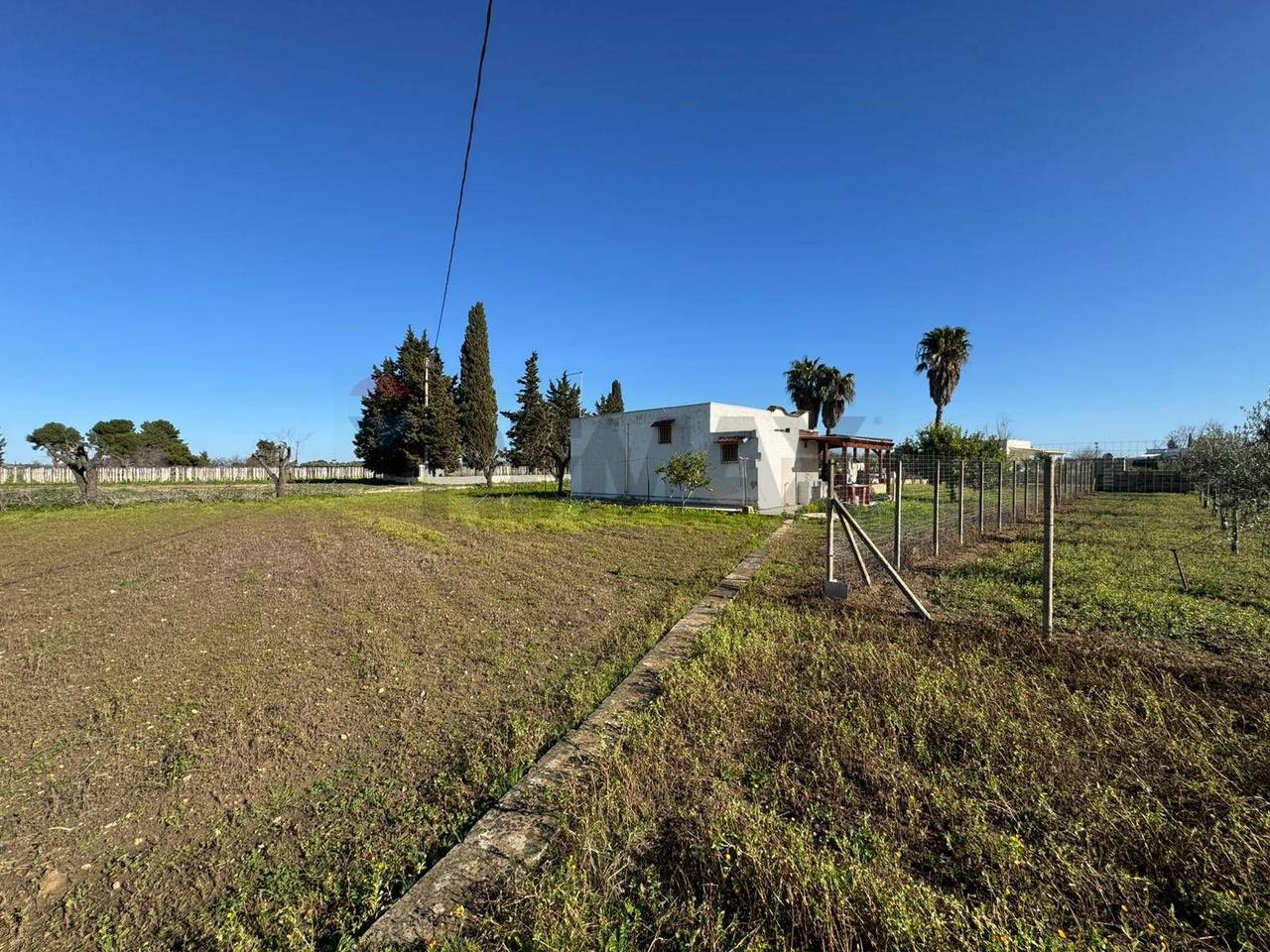 immagine annuncio 4 di 9