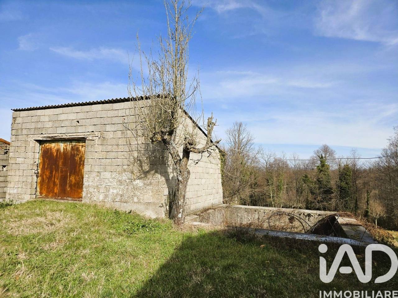 immagine annuncio 13 di 15