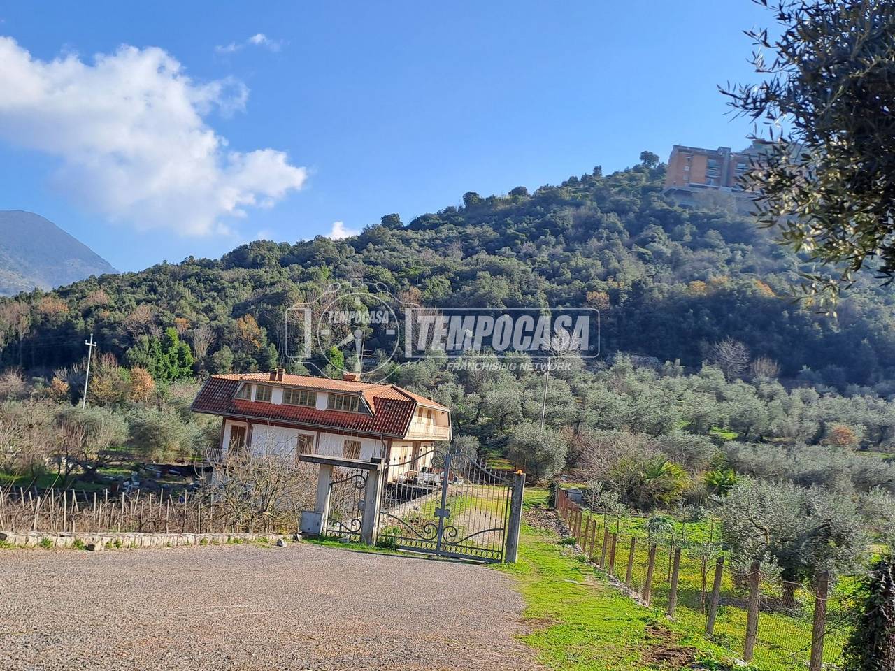 immagine annuncio 9 di 11