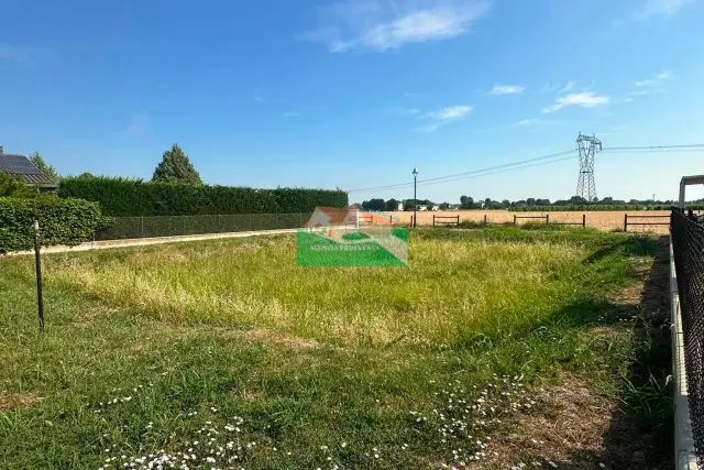 insertion image