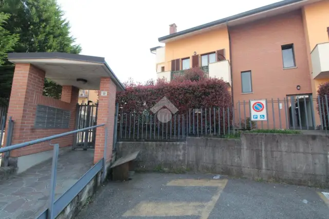 insertion image