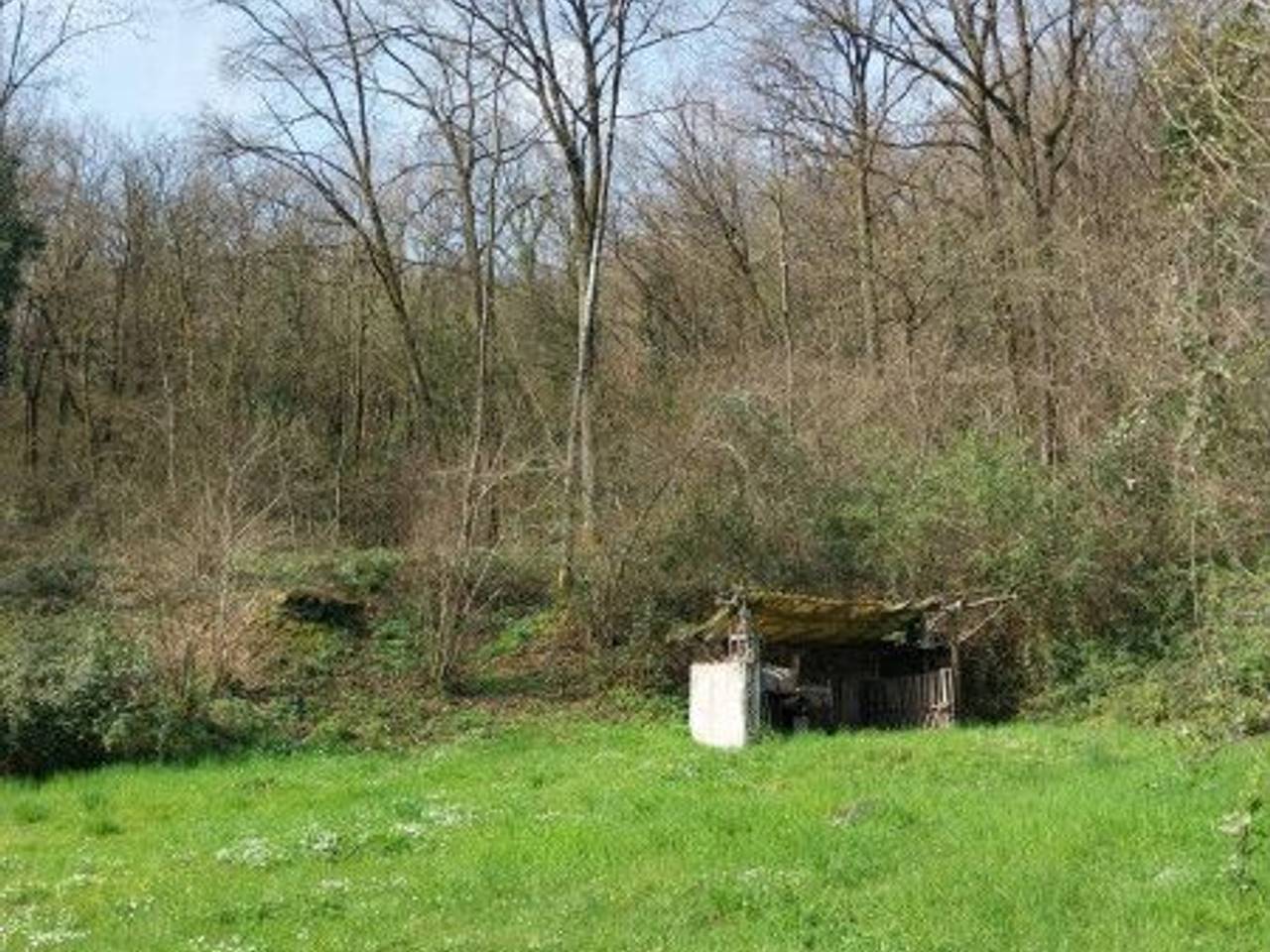 immagine annuncio 4 di 7