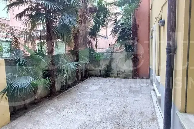 insertion image